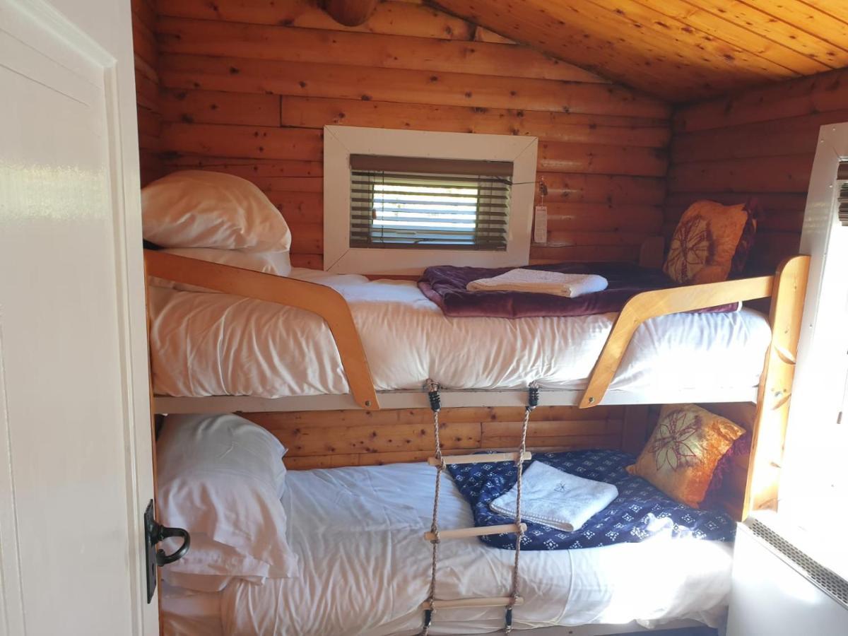 Stunning Log Cabin With Garden In Snowdonia - Hosted By Seren Short Stays Trawsfynydd المظهر الخارجي الصورة