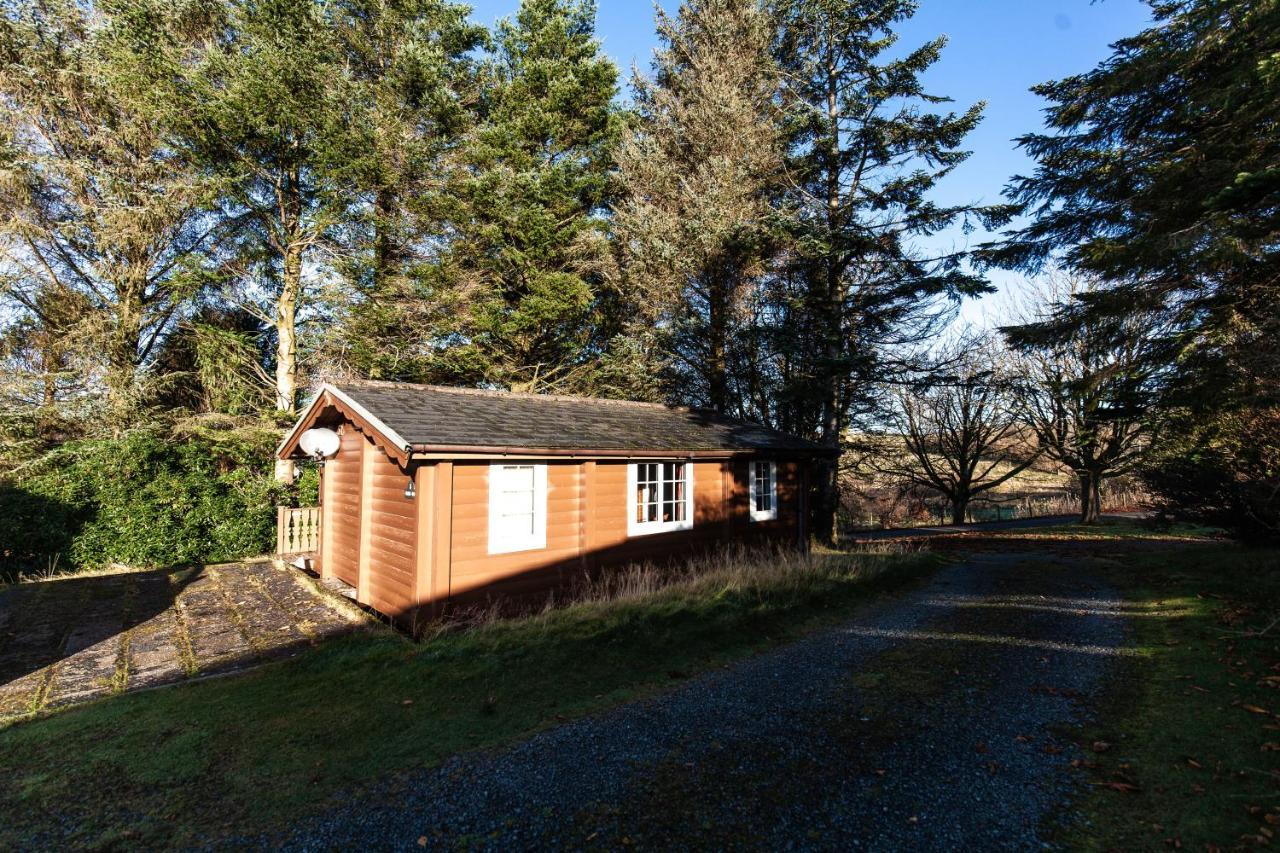 Stunning Log Cabin With Garden In Snowdonia - Hosted By Seren Short Stays Trawsfynydd المظهر الخارجي الصورة